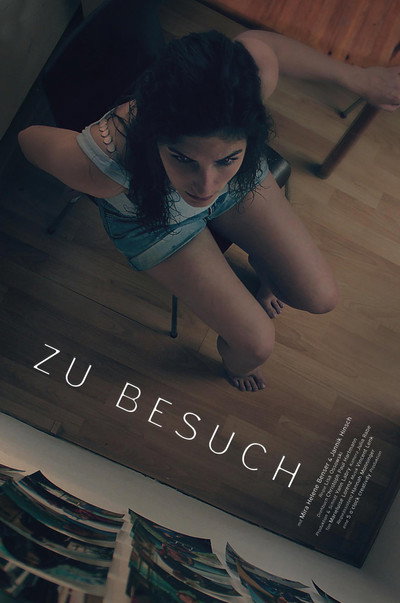Póster de Zu Besuch