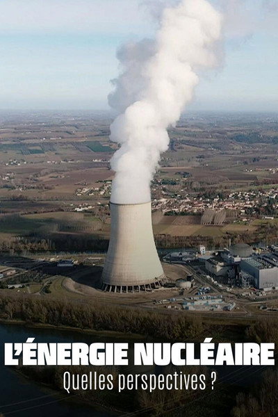 Póster de Zukunft der Atomenergie