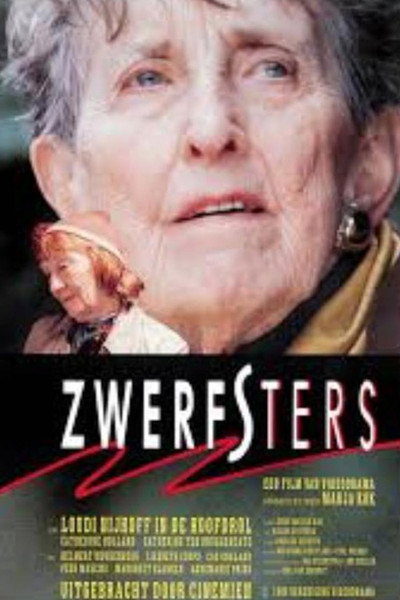 Póster de Zwerfsters