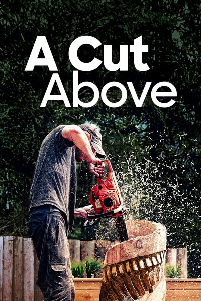 Póster de A Cut Above