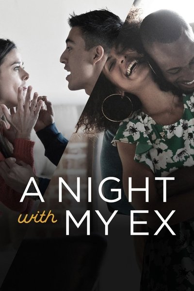 Póster de A Night with My Ex