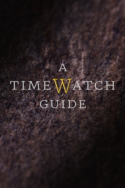 Póster de A Timewatch Guide