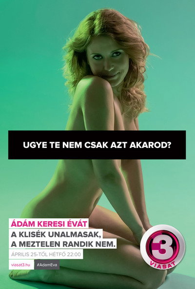 Póster de Adam Looking for Eve