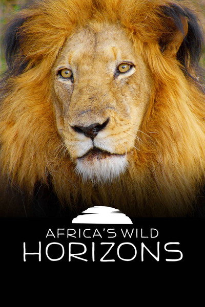 Póster de Africa's Wild Horizons
