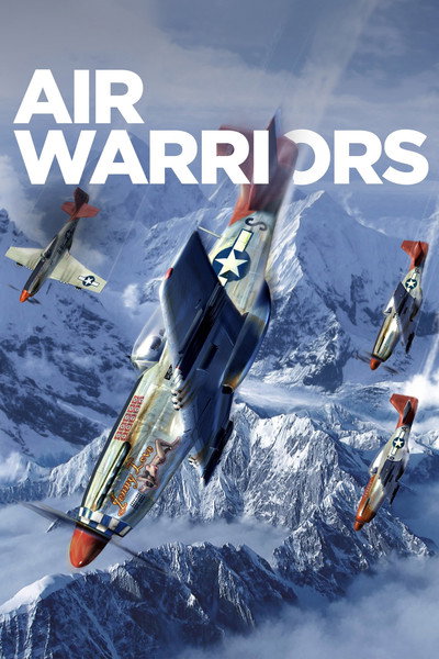 Póster de Air Warriors