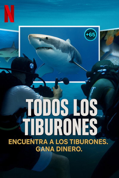 Póster de All the Sharks