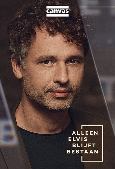 Póster de Alleen Elvis blijft bestaan