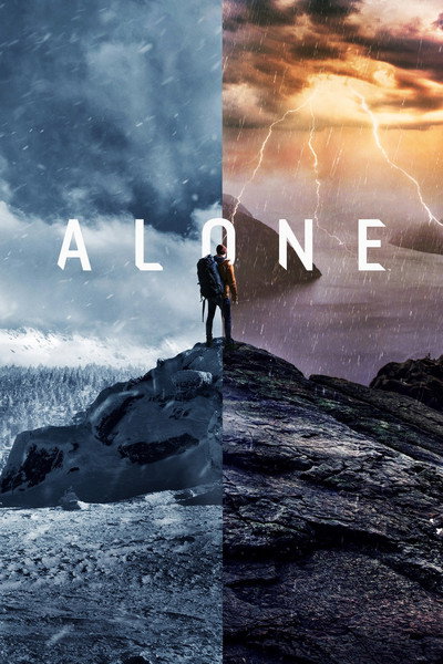 Póster de Alone