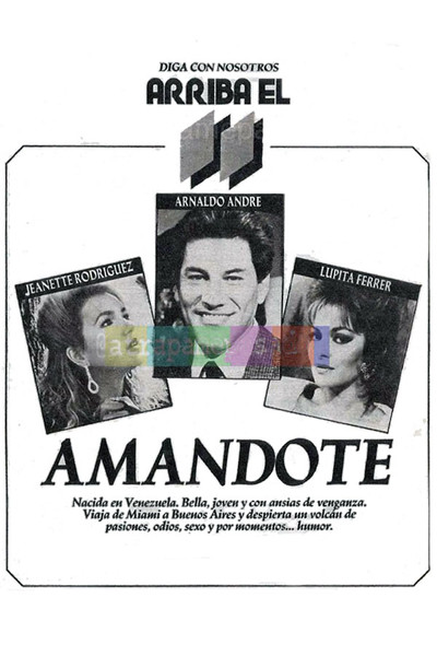 Póster de Amándote
