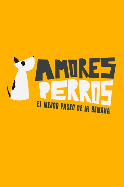 Póster de Amores Perros