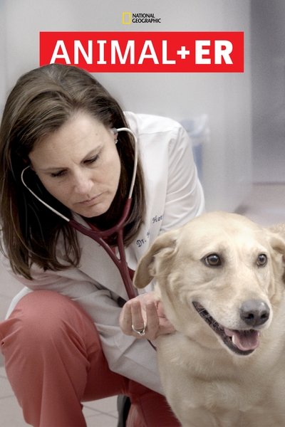 Póster de Animal ER