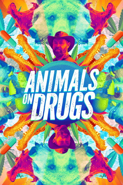 Póster de Animals on Drugs