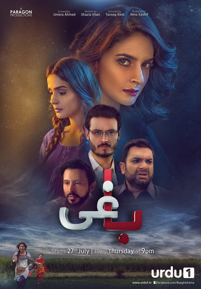 Póster de Baaghi