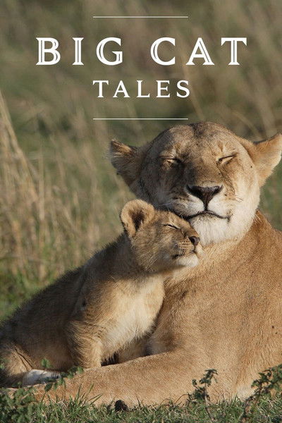 Póster de Big Cat Tales