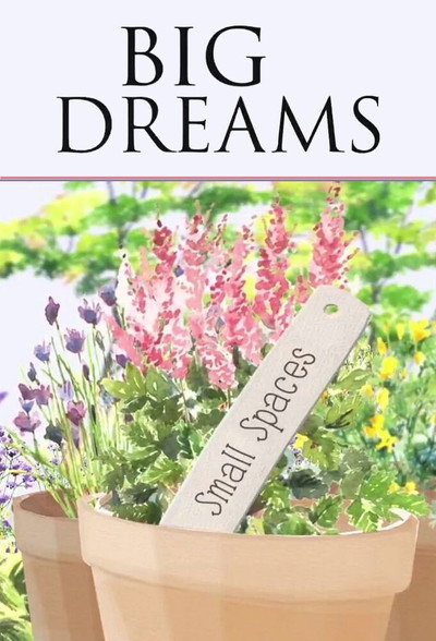 Póster de Big Dreams, Small Spaces