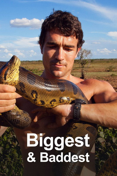 Póster de Biggest and Baddest 3