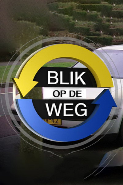 Póster de Blik op de weg
