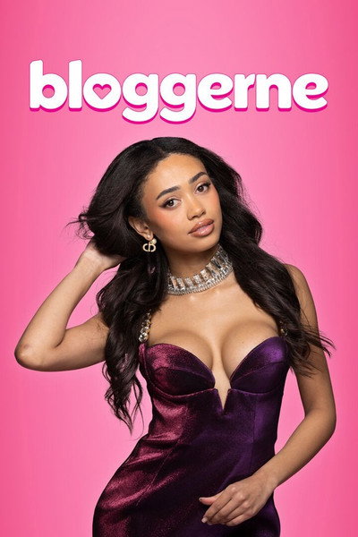 Póster de Bloggerne