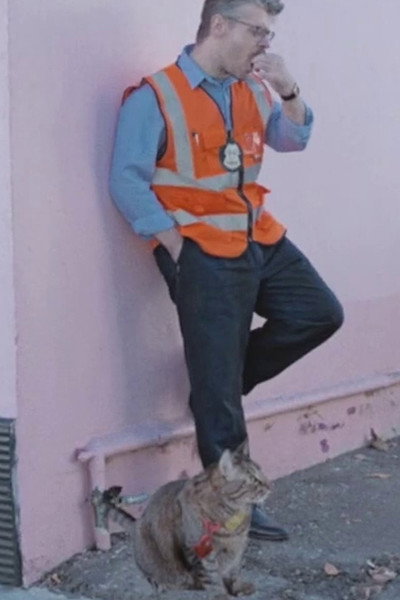 Póster de Bortcop