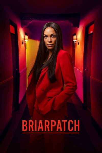 Póster de Briarpatch