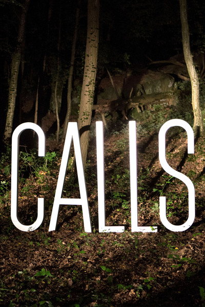 Póster de Calls