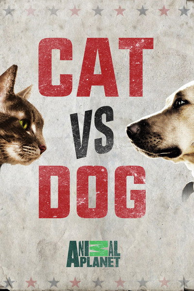 Póster de Cat Vs. Dog