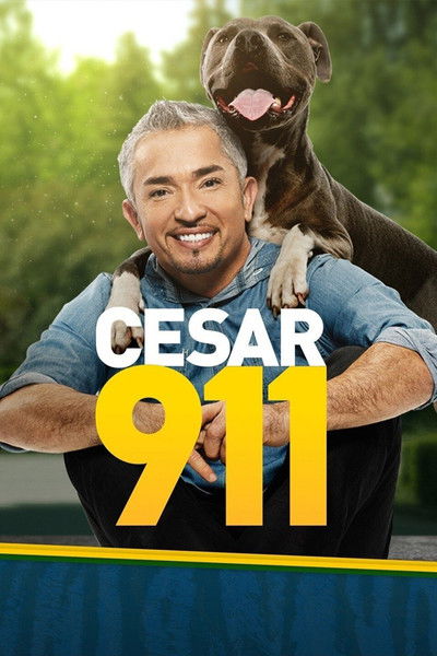 Póster de Cesar 911