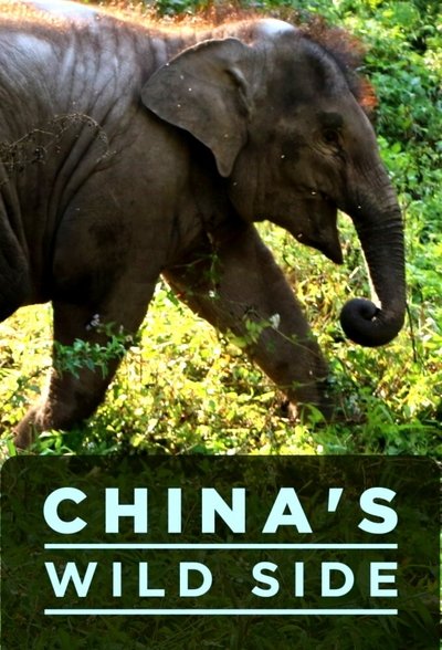 Póster de China's Wild Side