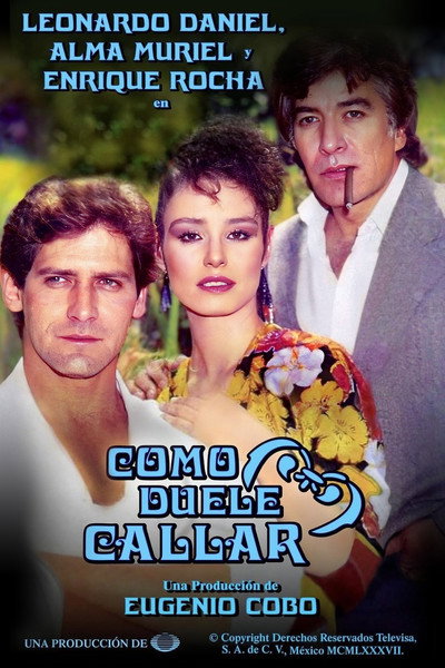 Póster de Como duele callar