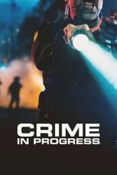Póster de Crime in Progress