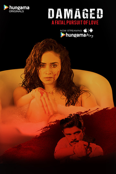 Póster de Damaged