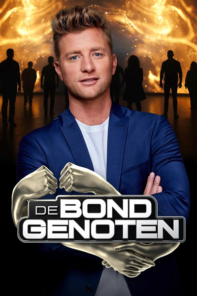 Póster de De Bondgenoten