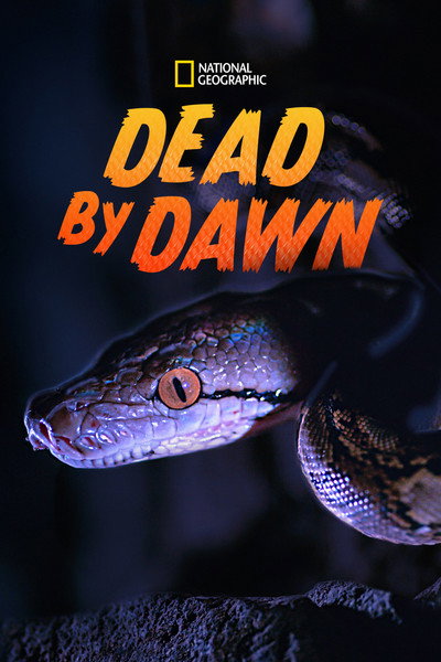 Póster de Dead by Dawn