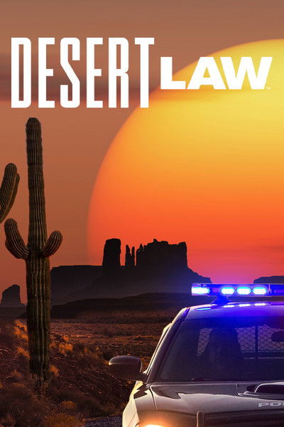 Póster de Desert Law