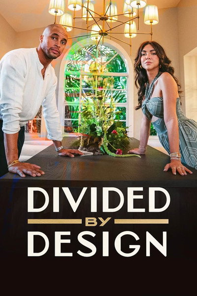 Póster de Divided by Design