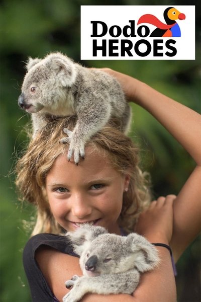 Póster de Dodo Heroes