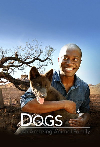 Póster de Dogs: An Amazing Animal Family
