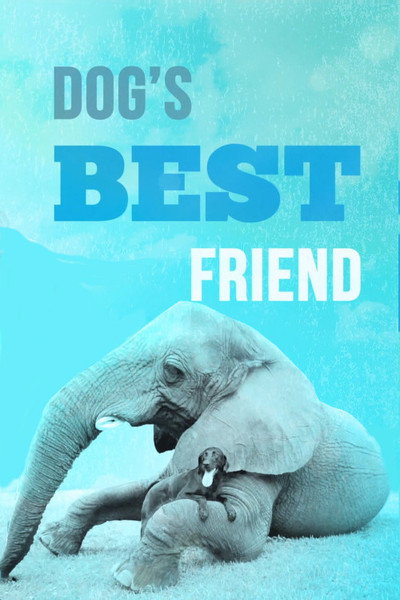Póster de Dog's Best Friend