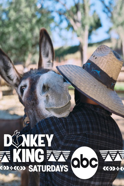 Póster de Donkey King