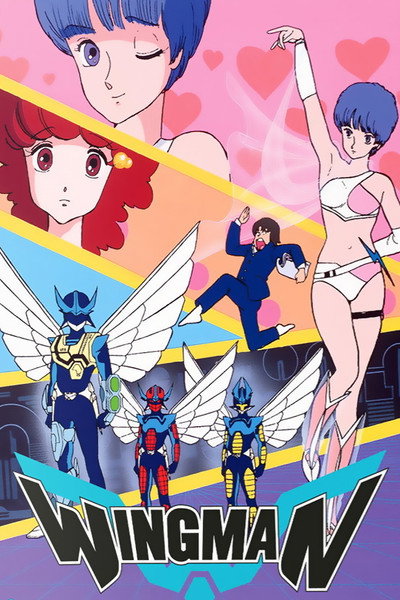 Póster de Dream Fighter Wingman