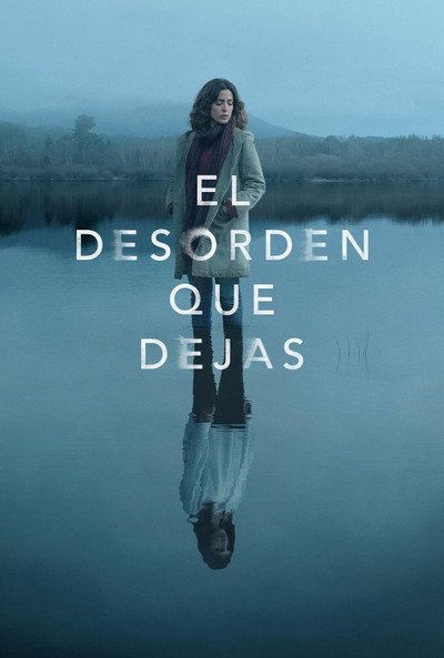 Póster de El desorden que dejas