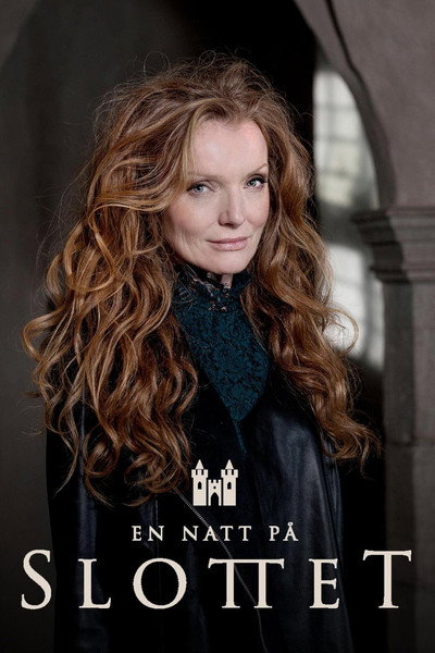 Póster de En natt på slottet