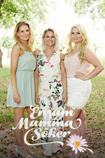 Póster de Ensam mamma söker