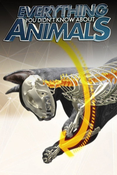 Póster de Everything You Didn't Know About Animals