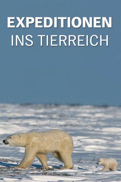 Póster de Expeditionen ins Tierreich