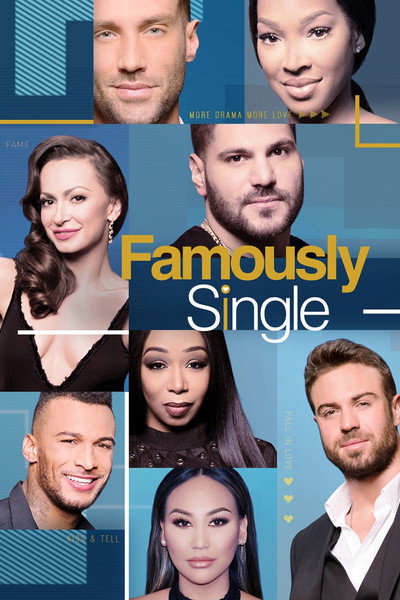 Póster de Famously Single