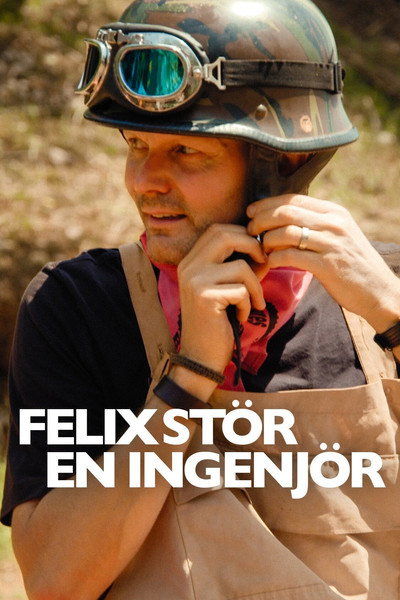 Póster de Felix stör en ingenjör