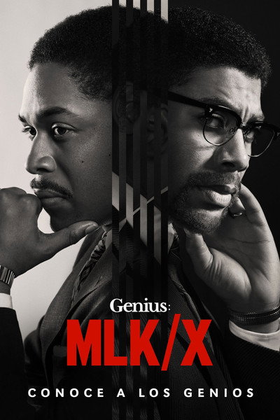 Póster de Genius