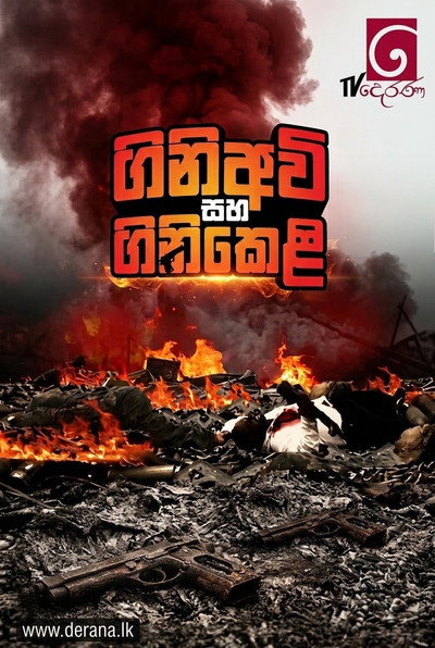 Póster de Gini Avi Saha Gini Keli