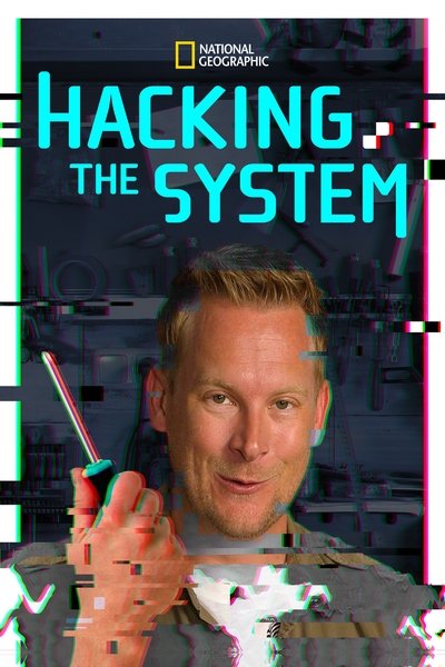 Póster de Hacking the System